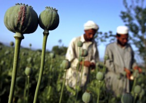 afghanistan-opium-001