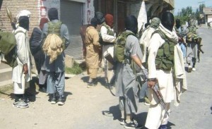 Swat Taliban Shadow Army
