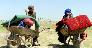 increasing-number-of-afghans-forced-to-flee1