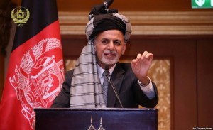 0306449A-BDA1-4920-B358-F377F9774EBB_mw1024_s_n