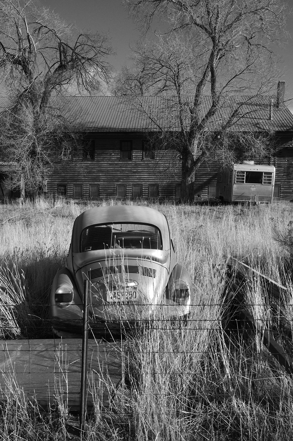 فولکس قورباغه‌ای