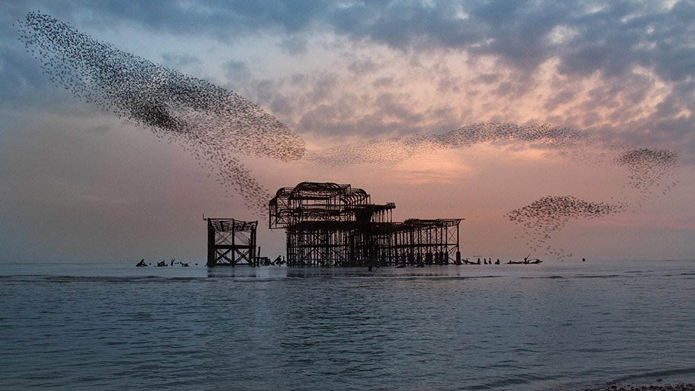 اسکله برایتون و زوزه باد