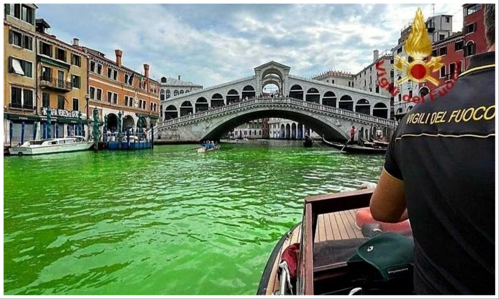 Market Crush: Vegetables in Venice