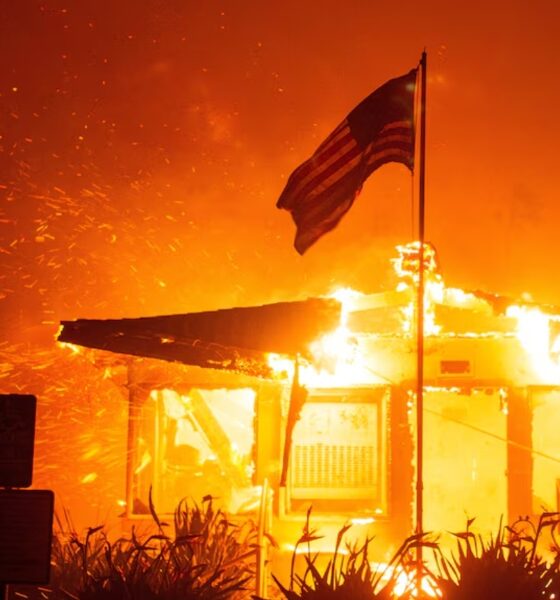 LA fires destroy hundreds of homes